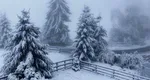Vreme de iarnă în pragul verii. Ninge puternic în România VIDEO