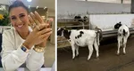 Anamaria Prodan, afacere de 7 milioane de euro! Sexy-impresara a cumpărat o fermă cu 600 de vaci FOTO