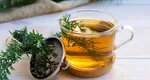Ceaiul de rozmarin, beneficii uluitoare asupra sănătății. Pentru cine e contraindicat