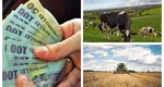 Subvenţii APIA 2022. Ce bani primesc fermierii în luna februarie
