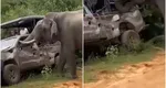 Imagini incredibile! Un elefant a atacat două maşini cu turişti. VIDEO