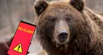 Urşii se pregătesc de weekend. Mesaje Ro-Alert în cascadă pe Valea Prahovei