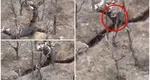 Videoclip viral! Aflat în tranşee şi atacat de ruşi cu grenade, un soldat ucrainean le aruncă înapoi proiectilele