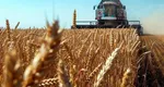Rezervele mondiale de grâu sunt pe sfârşite, criza alimentară dă târcoale. Au mai rămas stocuri doar pentru 10 săptămâni avertizează experţii ONU