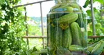 Reţeta delicioasă a bunicii pentru castraveţi crocanţi de vară în saramură. Ingredientul pe care trebuie să-l adaugi pentru a avea cele mai bune murături făcute la soare