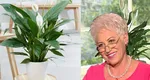 Care e floarea care îţi aduce noroc în dragoste. Lidia Fecioru: „Dacă vrem să ne găsim jumătatea, este bine să primim această plantă”