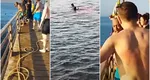 O româncă a fost sfâşiată de un rechin în staţiunea Hurghada din Egipt. MAE confirmă decesul femeii şi îi sfătuieşte pe turişti să respecte indicaţiile autorităţilor referitoare la înotul în mare