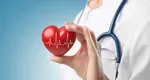 Primul model de inimă artificială a fost creat de cercetătorii de la Harvard