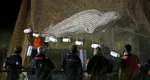 Beluga rătăcită pe râul Sena de o săptămână a fost scoasă din apă