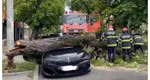 Maşină de peste 100.000 de euro făcută zob după ce pompierii au scăpat un copac peste ea: „Puteam să jur că aşa se întâmplă!”