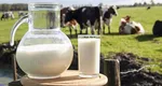 Drama fără margini a fermierilor români. Laptele a ajuns să fie mai ieftin ca apa: „Vindem cu 1,2 lei litrul! Este strigător la cer!” VIDEO
