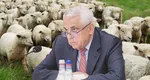 Petre Daea, după protestul oierilor: „Eu nu critic oaia seara și dimineața îi mănânc brânza”