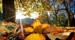 Prognoza meteo 29 septembrie 2026. Vreme caldă, temperaturi de până la 26 de grade