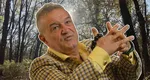 Gigi Becali construieşte locuinţe în pădurea Andronache din Voluntari. Firma de construcţii la care latifundiarul este acţionar majoritar abia a ieşit din insolvenţă