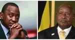 Președintele Ugandei a oferit scuze kenyenilor după ce fiul său i-a amenințat cu invazia. Aceeaşi beizadea oferea 100 de vaci Nkore pentru Giorgia Meloni