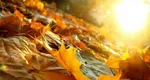 Prognoza meteo pe două săptămâni. Oază de vară în septembrie, dar toamna vine cu promoroacă, brumă şi ploi de săptămâna viitoare