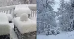 SUA: Furtună de zăpadă în Michigan! Autoritățile au fost luate prin surprindere