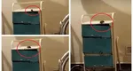 Imagini revoltătoare într-un spital din Șimleu Silvaniei. Un șoarece a fost surprins în timp ce se plimba nestingherit printr-un salon