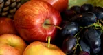 Fructele de toamnă, recomandate de nutriţionişti: „Mic și colorat înseamnă că are foarte mulți antioxidanți”