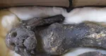 Cum arată mumia veche de 300 de ani care le dă bătăie de cap cercetătorilor. După trei secole nu i-au identificat originile