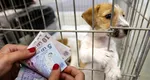 Oamenii vor fi obligați să le facă test ADN pentru câini. Amenda e de 1000 de euro, plus 500 de euro dacă nu strângi „după el”