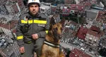 O zi din viaţa lui Speedy, câinele care salvează vieţi în Turcia: „Tati, o singură dată mai ieşim şi îţi promit că venim să ne odihnim”