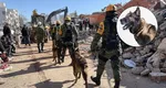Câine-erou în Turcia. Proteo a murit după ce a salvat doi oameni de sub dărâmături VIDEO