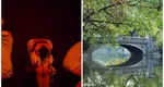 Caz revoltător! O actriţă celebră a fost bătută în Cişmigiu, în plină zi: „Nimeni nu a intervenit, erau patru bărbaţi în ochii cărora m-am uitat cerându-le ajutorul”