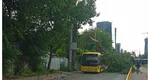 Fenomene extreme în Capitală: 19 maşini avariate de copaci. A căzut şi o schelă