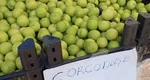 Corcodușele au devenit cele mai scumpe fructe de pe piață. Cât costă astăzi fructele pe care le mâncam gratis în copilărie