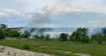 Incendiu de vegetație în Delta Văcărești din Capitală. Flăcările s-au extins rapid