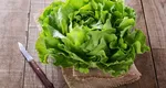 Salata verde, beneficii majore pentru sănătate. De ce este bine să o cosumi zilnic şi care este cea mai eficientă dietă de slăbire cu salată verde