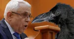 După cormorani, Petre Daea vrea acum să omoare ciorile, pentru că distrug culturile. Specialiştii avertizează că aceste păsări sunt protejate la nivel european