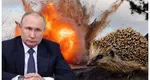 Putin aruncă în război animalele! Rusia montează mine antipersonal pe arici