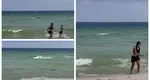 Clipe de coșmar la plajă! Un rechin uriaș a fost surprins înotând foarte aproape de un grup de turiști VIDEO