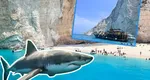 Pericolul pentru turiștii care ajung vara aceasta în Zakynthos. Un rechin a fost văzut în apropierea insulei grecești