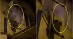 Spider-Man de Călărași! Un bărbat care escaladează zidul blocului ca să intre în apartament susține că a fost sechestrat de Dumnezeu. VIDEO