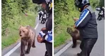 VIDEO Un turist străin a hrănit de aproape un urs pe Transfăgărăşan şi a fost la un pas de a-i pica în gheare animalului sălbatic