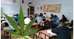 Lupta împotriva consumului de droguri continuă! Sute de profesori, instruiți de polițiștii antidrog să recunoască elevii care se află sub influența stupefiantelor