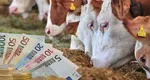 Nu se taie chiar tot! Noi ajutoare pentru români în 2025. Plăţile au fost aprobate, banii intră pe card