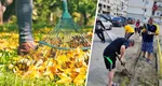 Amenzi uriaşe fie că locuieşti la bloc, fie că stai la casă cu curte. Greşeala costisitoare se face mai ales primăvara