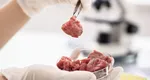Italia a interzis carnea produsă în laborator. Decizia a dus la revolte în stradă VIDEO