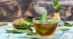 La ce te ajută ceaiul din frunze de dafin. Are beneficii uimitoare în lupta cu cancerul