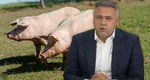 Florin Barbu, atac dur la adresa celor care vor să interzică sacrificarea şi vinderea porcilor. „Gospodăriile românilor şi hrana populaţiei nu sunt subiecte politice”