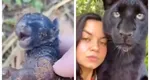 A crezut că a salvat un pui de pisică, însă în realitate adevărul a fost altul. Ce a crescut, de fapt, în propria casă