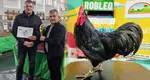 Dănuț, românul campion la creșterea de găini australiene: „Dorința mea este să transform pasiunea într-o afacere”