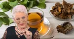 Lidia Fecioru dezvăluie ceaiul minune care crește imunitatea și scade glicemia: „Se face cură cam trei luni de zile”
