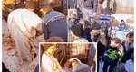 Scandal ca la ușa cortului la o înmormântare în Suceava! Preotul s-a întins pe jos în fața cimitirului