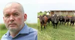 Un român din Timiș a dat lovitura! Bărbatul a investit peste zece milioane de euro într-o afacere cu rădăcini japoneze. Vacile din rasa Wagyu, o delicatesă. Un kilogram se vinde și cu 1.000 lei