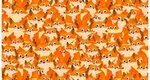 Test de inteligență rapid exclusiv pentru genii! Găsește veverița ascunsă printre vulpițe în doar opt secunde